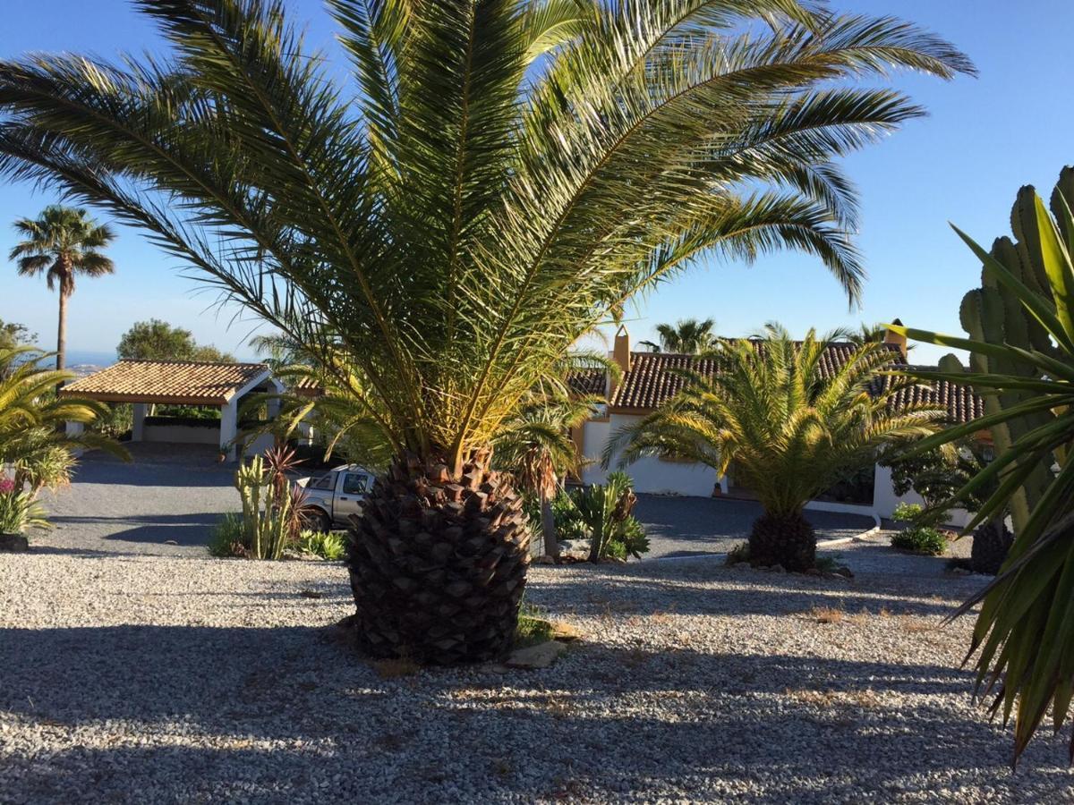 Finca Lechuza ميخاس المظهر الخارجي الصورة