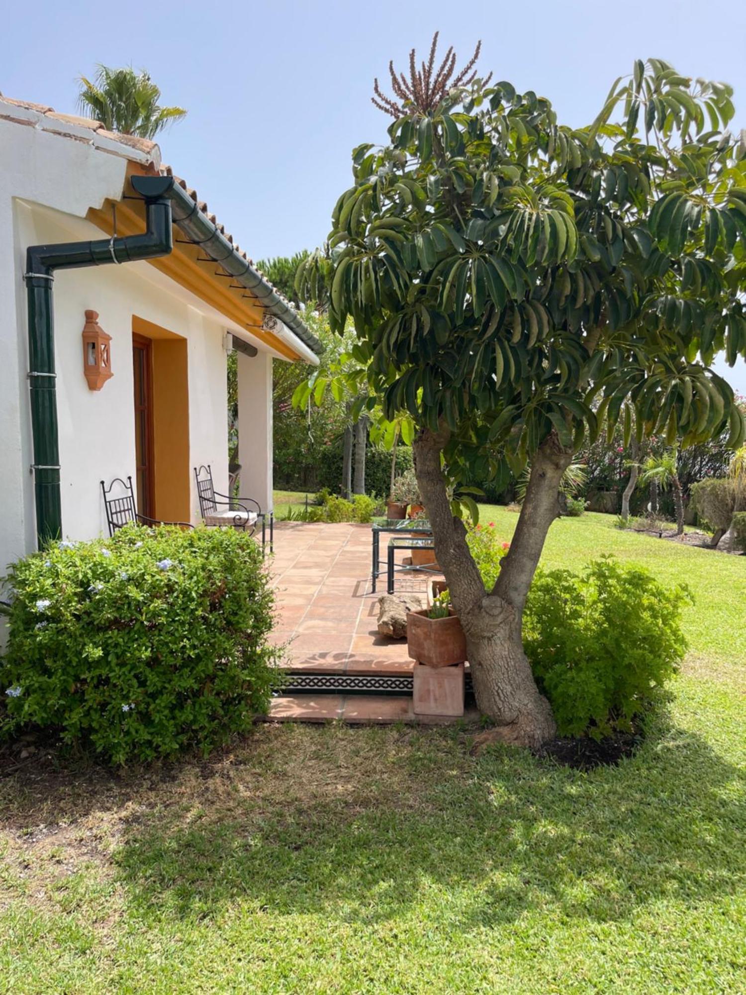 Finca Lechuza ميخاس المظهر الخارجي الصورة